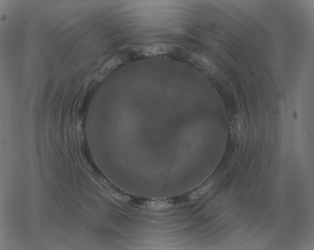 X0000068890327200605122040