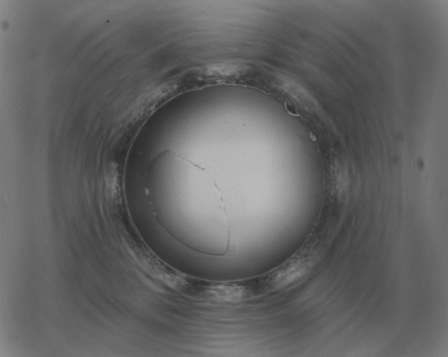 X0000068890328200605122040