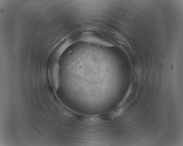 X0000068890329200605122040