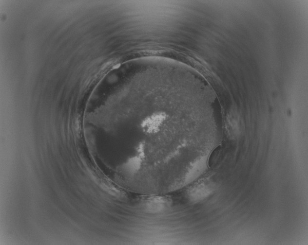 X0000068890330200605122040