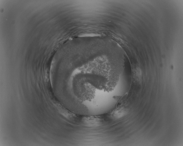 X0000068890331200605122040