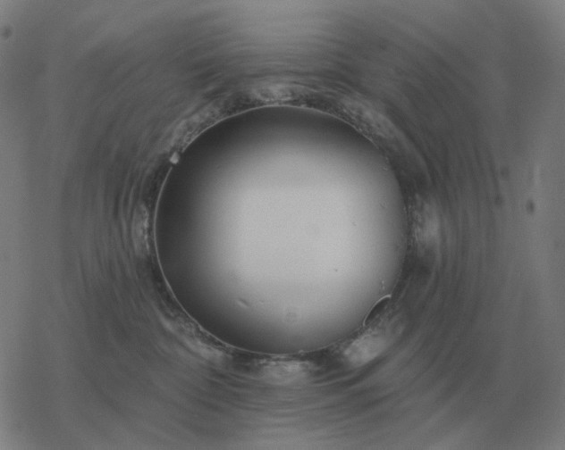 X0000068890332200605122040