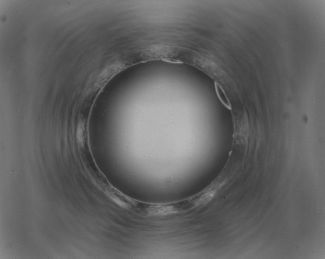 X0000068890334200605122040