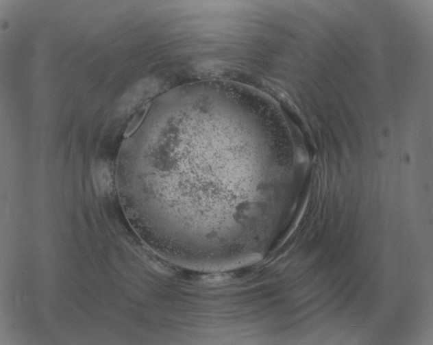 X0000068890335200605122040