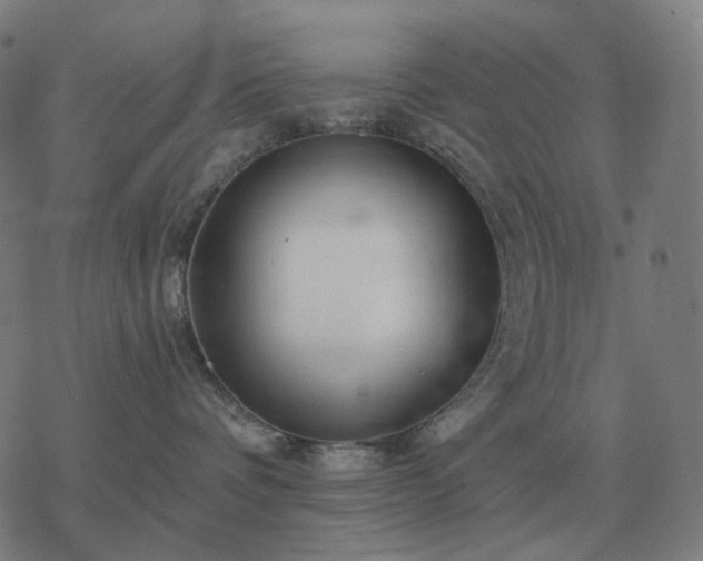 X0000068890336200605122040