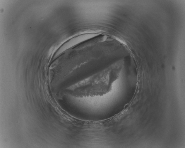 X0000068890337200605122039