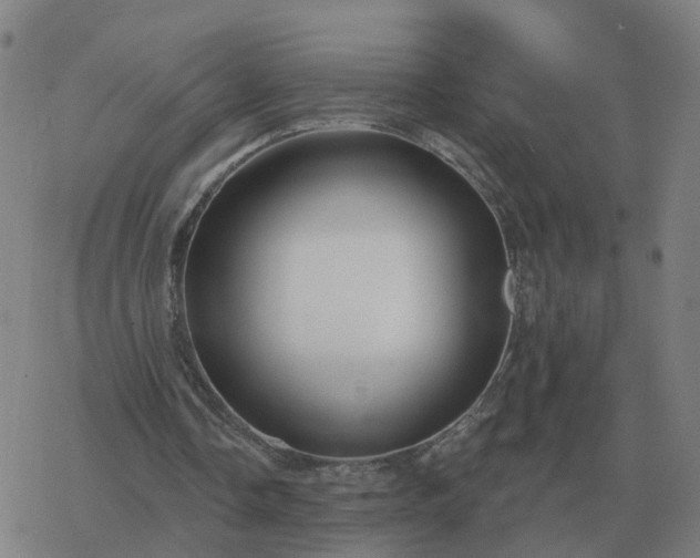 X0000068890338200605122039