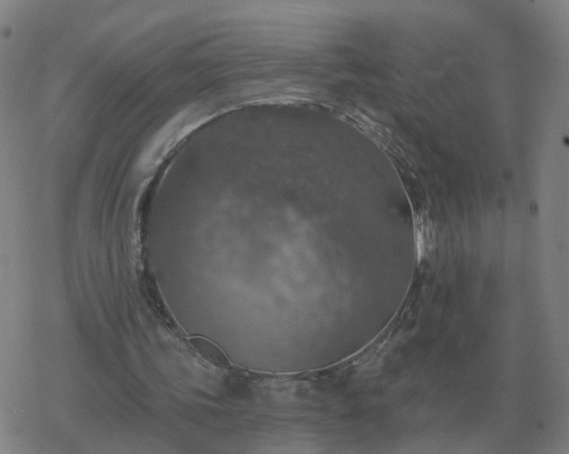 X0000068890339200605122039