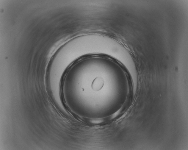 X0000068890340200605122039