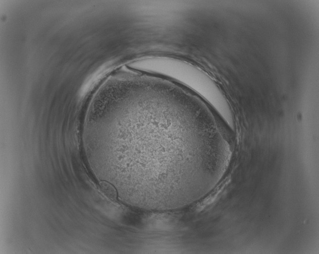 X0000068890341200605122039