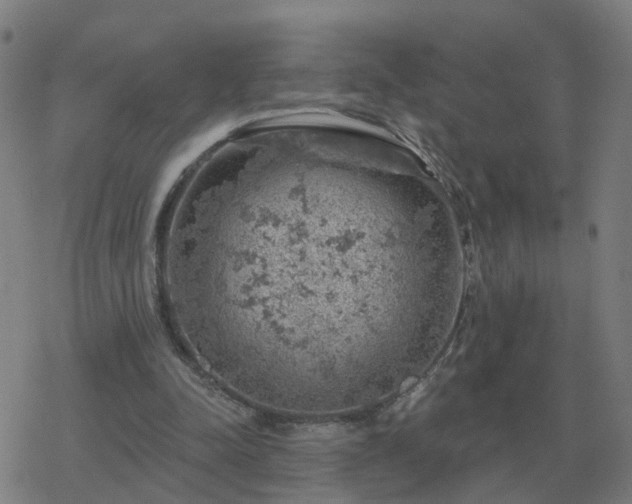 X0000068890342200605122039