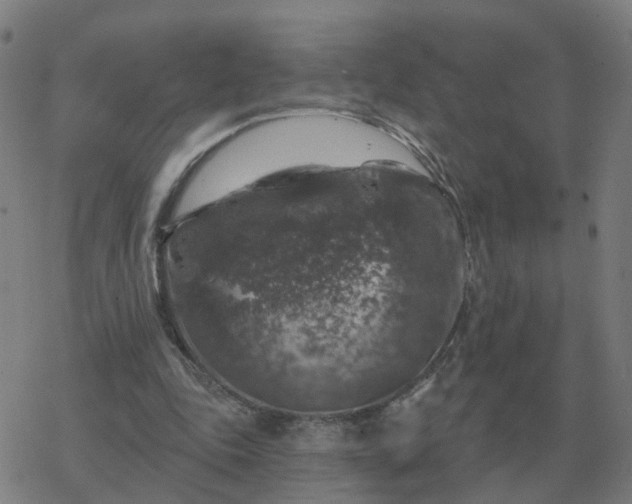 X0000068890343200605122039