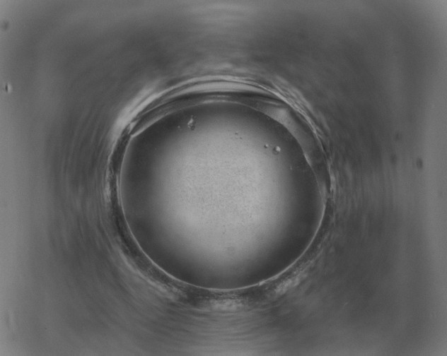 X0000068890344200605122039