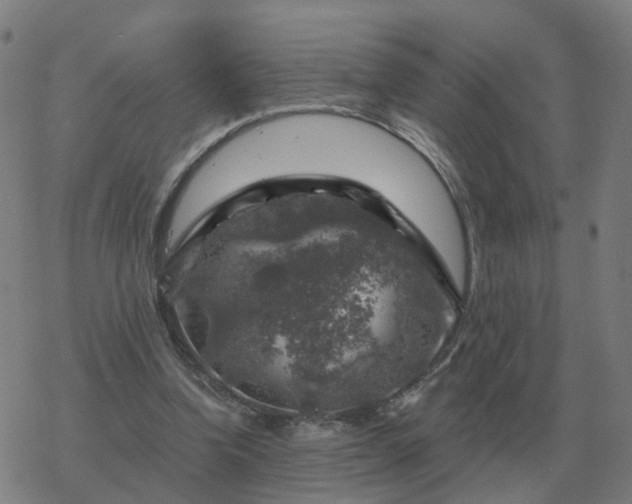 X0000068890346200605122039