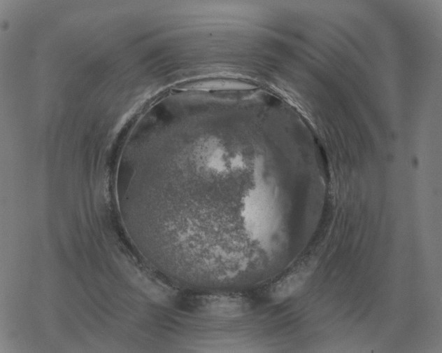 X0000068890347200605122039