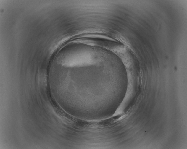 X0000068890348200605122039