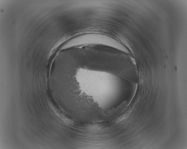 X0000068890349200605122039