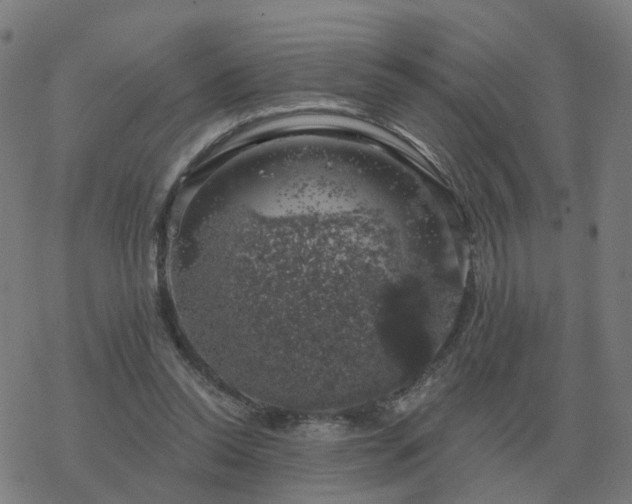 X0000068890350200605122040