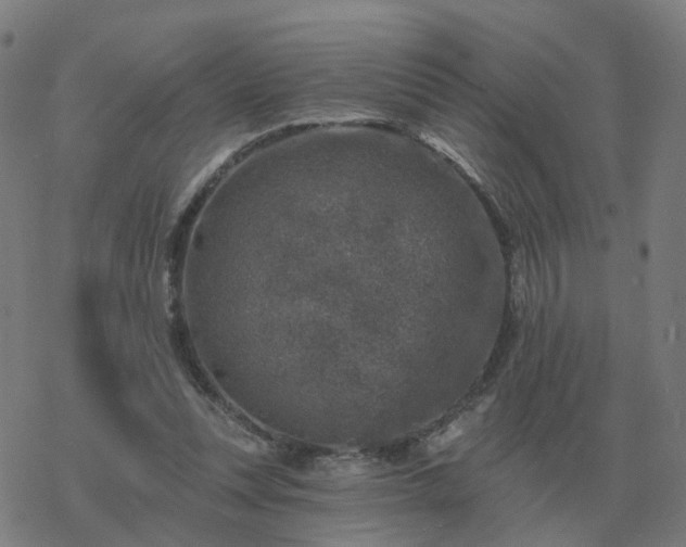 X0000068890351200605122040