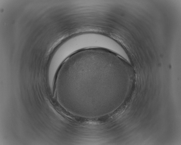 X0000068890352200605122040