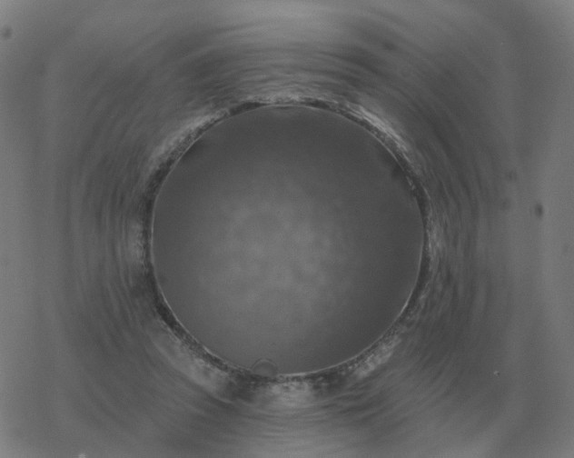 X0000068890353200605122040