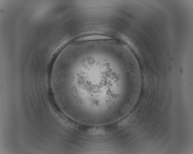 X0000068890354200605122040