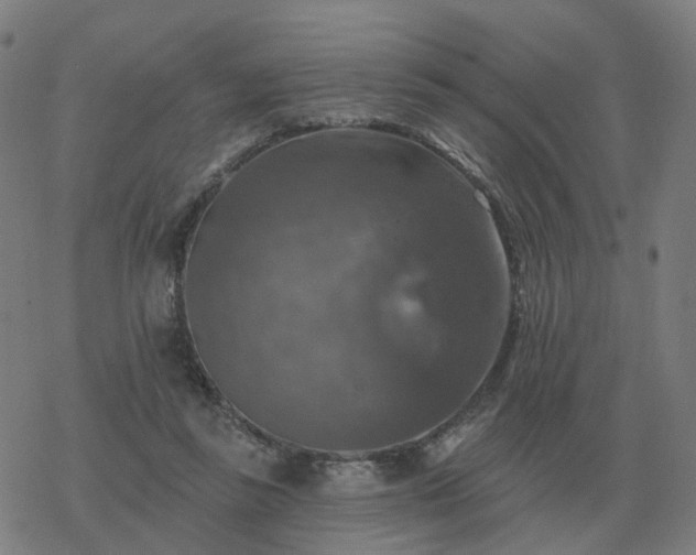 X0000068890355200605122040