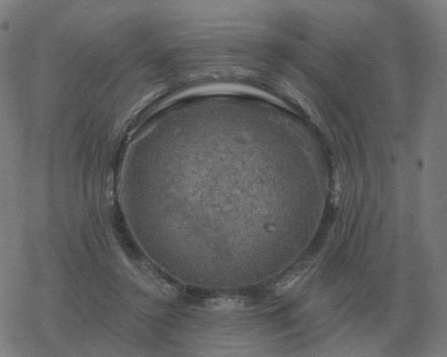 X0000068890356200605122040