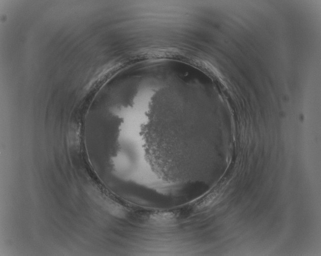 X0000068890357200605122040