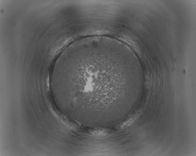 X0000068890358200605122040