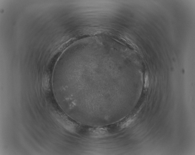 X0000068890359200605122040