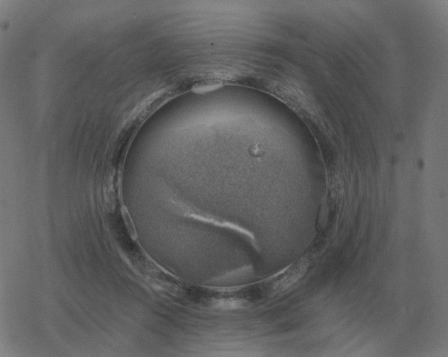 X0000068890360200605122040