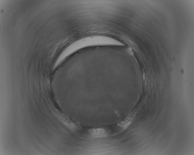 X0000068890361200605122040