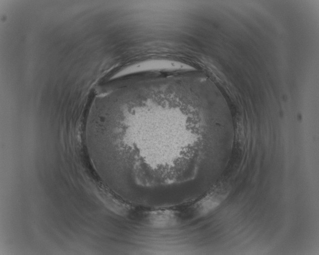 X0000068890363200605122040