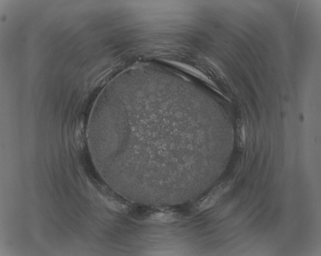 X0000068890364200605122040