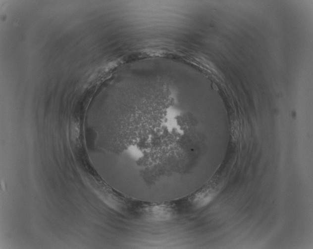 X0000068890365200605122040