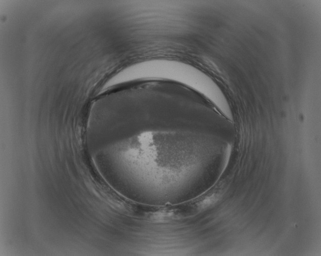 X0000068890366200605122040