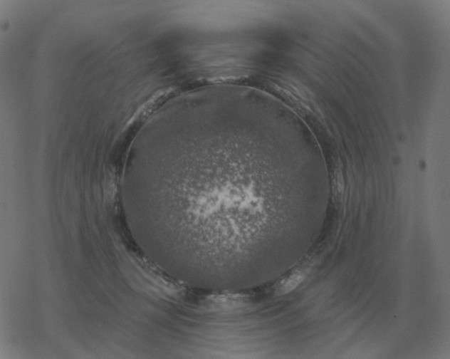 X0000068890367200605122040