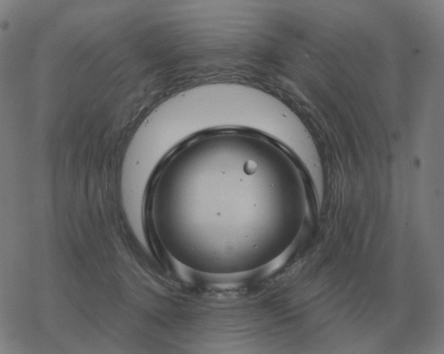 X0000068890368200605122040