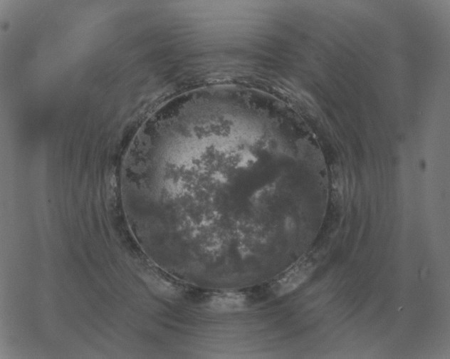 X0000068890369200605122040