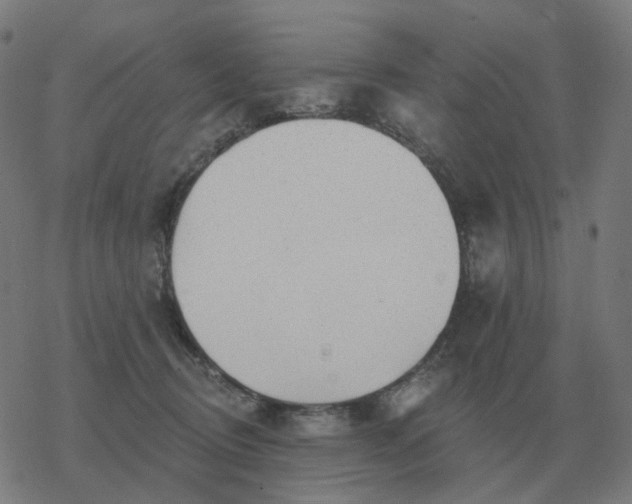 X0000068890370200605122040