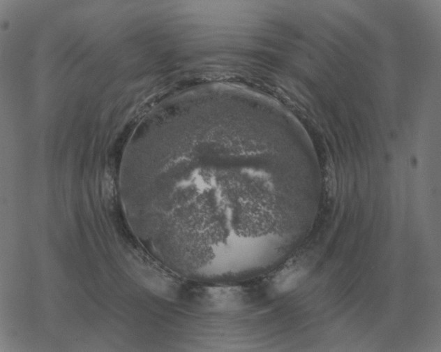 X0000068890371200605122040