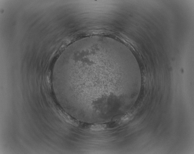 X0000068890373200605122040