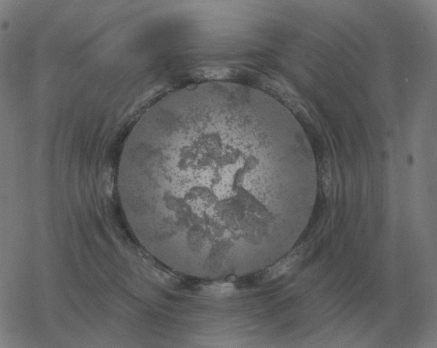 X0000068890374200605122040