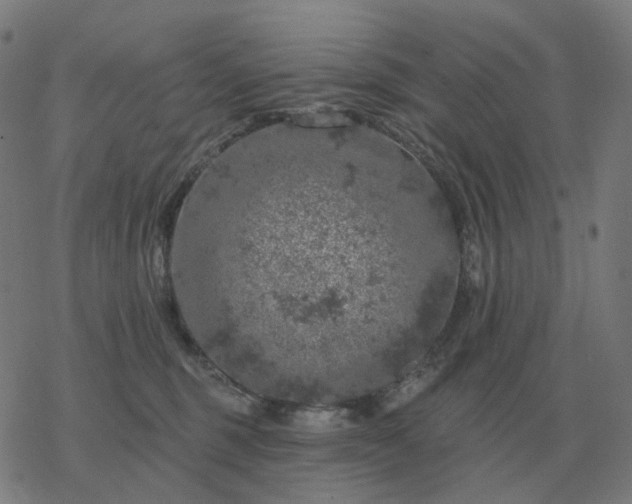 X0000068890375200605122040