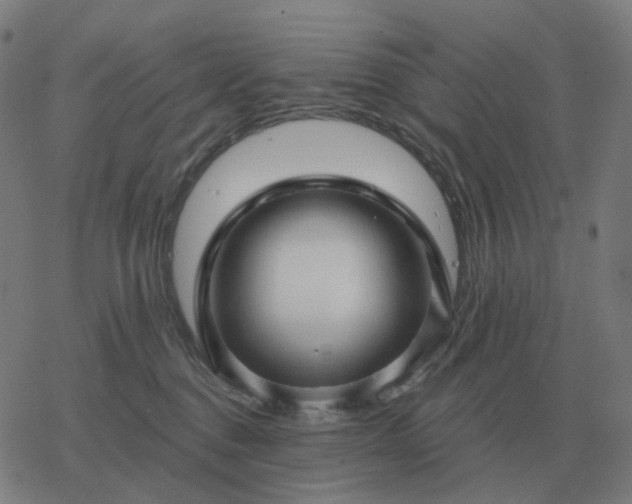 X0000068890376200605122040