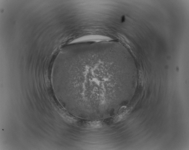 X0000068890377200605122040