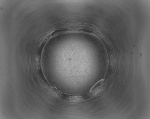 X0000068890378200605122040