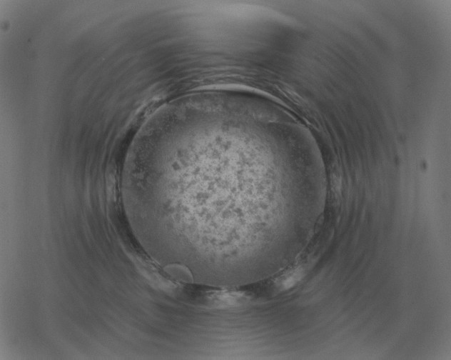 X0000068890379200605122040