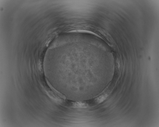 X0000068890380200605122040